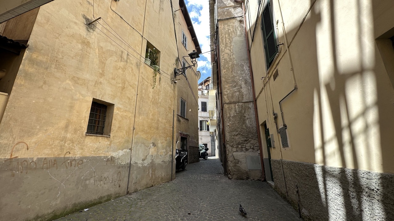 Photo of Others in Velletri