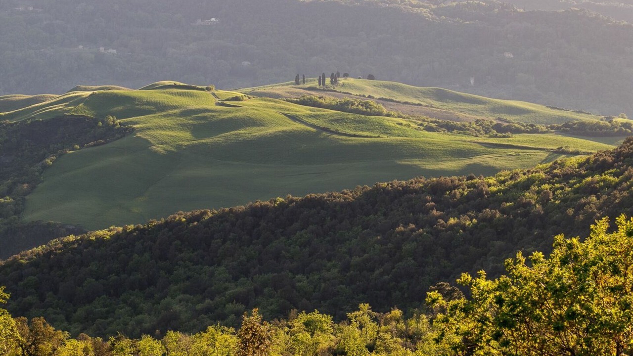 Photo of Others in Volterra