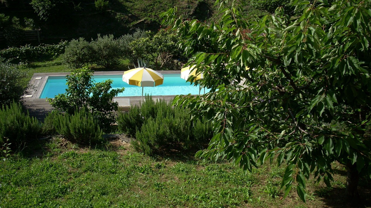 Photo of Outdoor in Calice Ligure