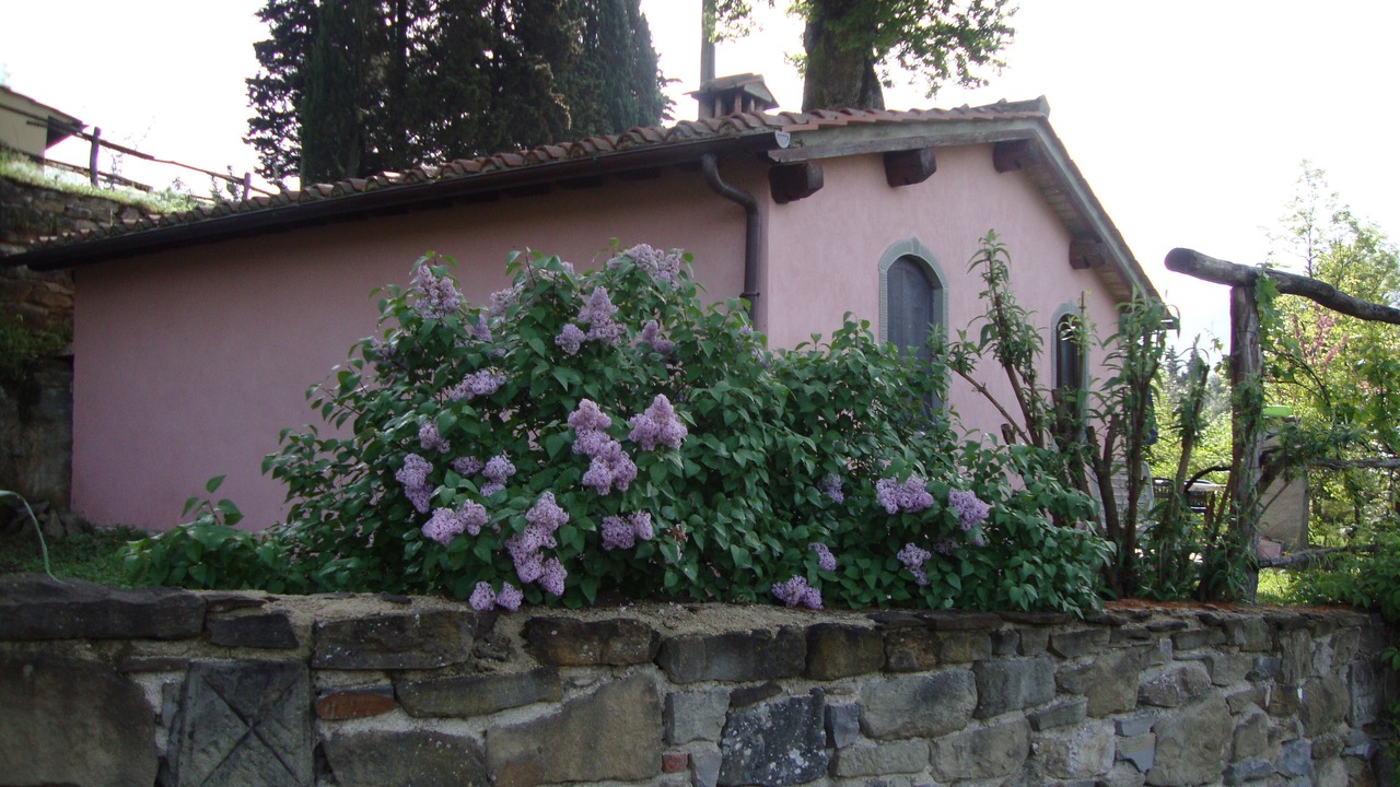 Photo of Outdoor in San Godenzo