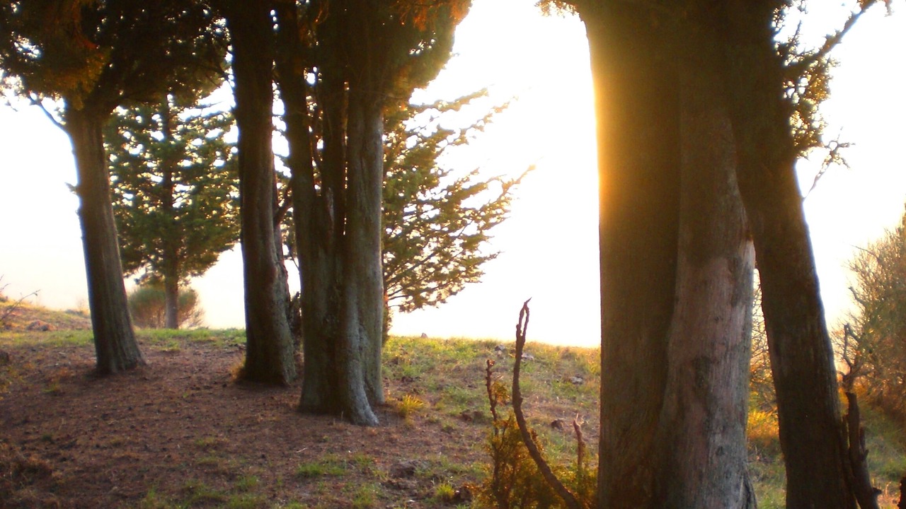 Photo of Outdoor in San Godenzo