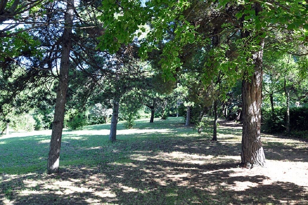 Photo of Outdoor in Bargni