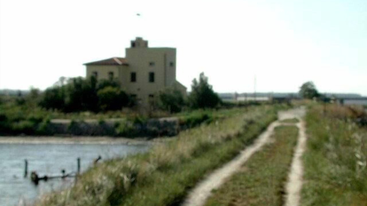 Photo of Others in Lido degli Estensi