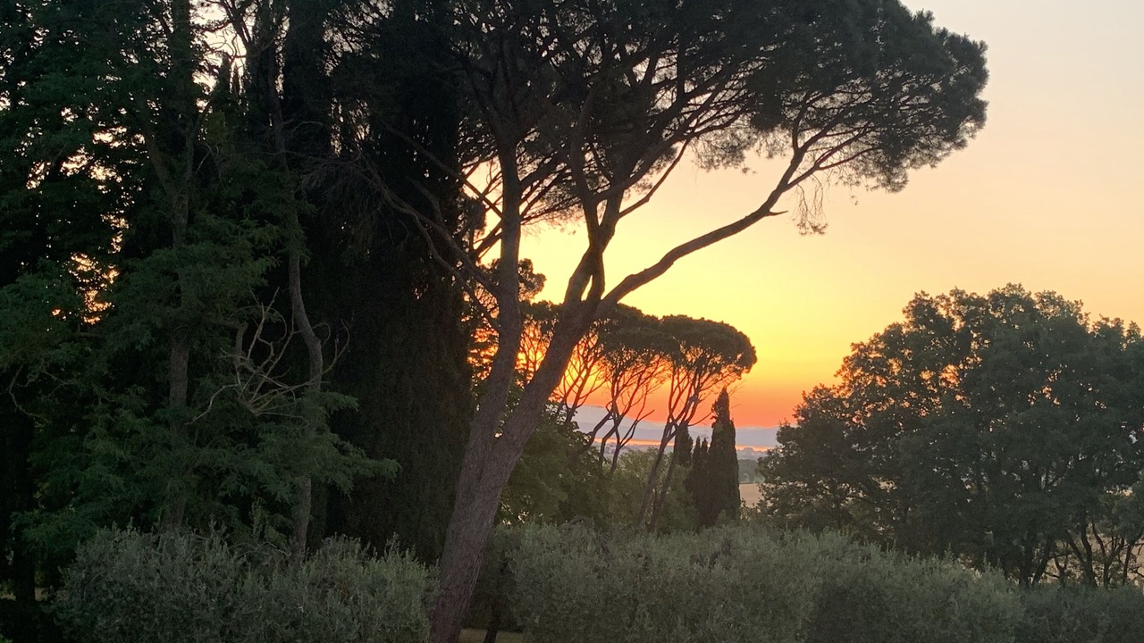 Photo of Outdoor in Castiglione del Lago