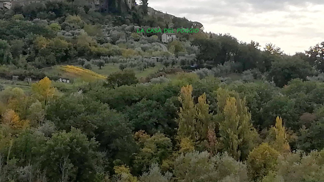 Photo of Outdoor in Penna in Teverina