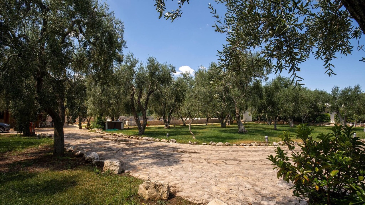 Photo of Outdoor in Mattinata