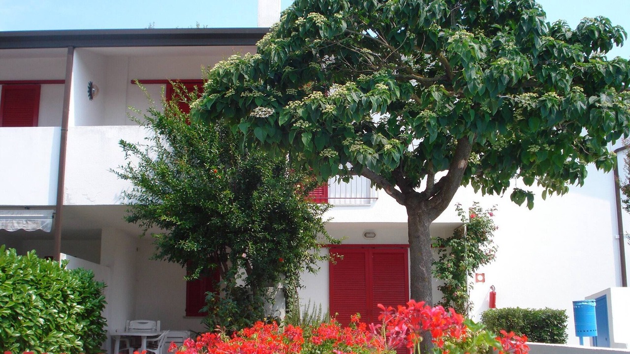 Photo of Outdoor in Porto Santa Margherita