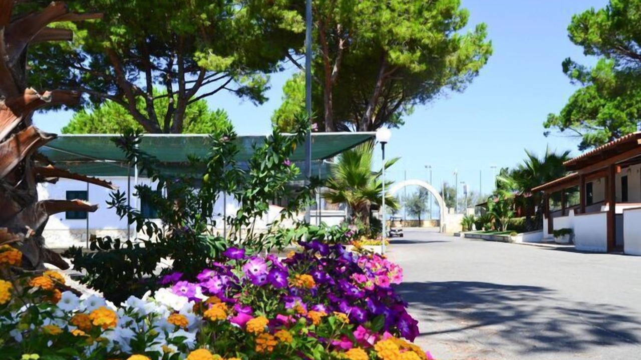 Photo of Outdoor in Lido del Sole