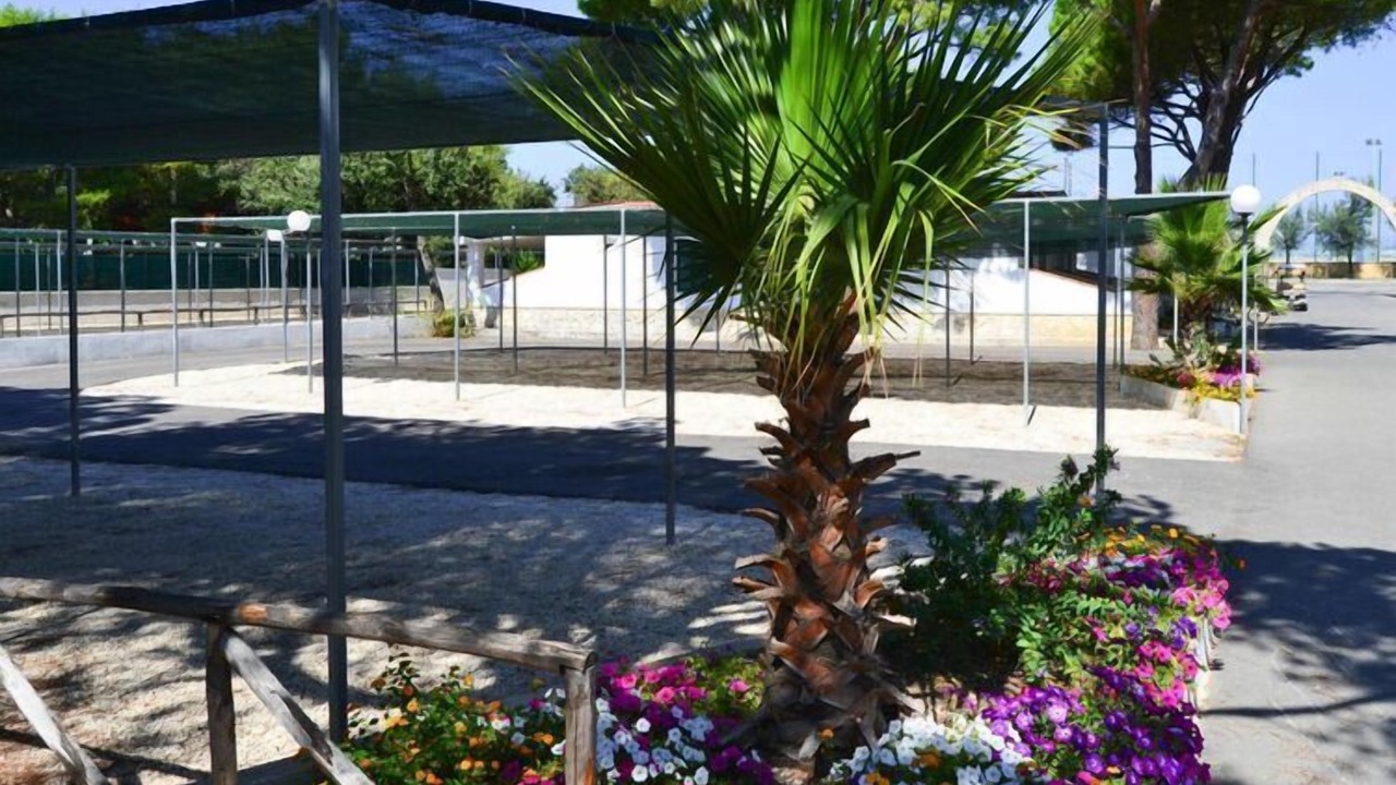 Photo of Outdoor in Lido del Sole