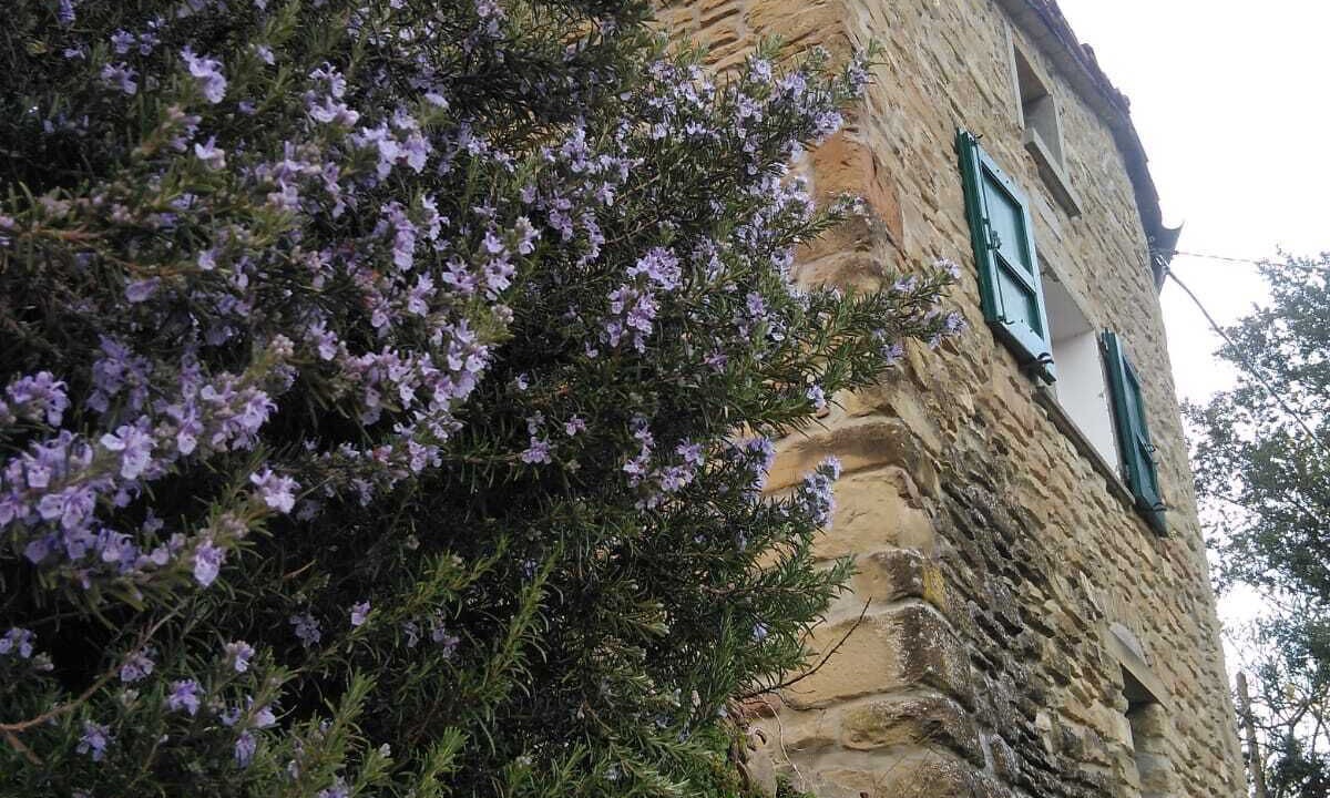 Photo of Outdoor in Castel del Rio