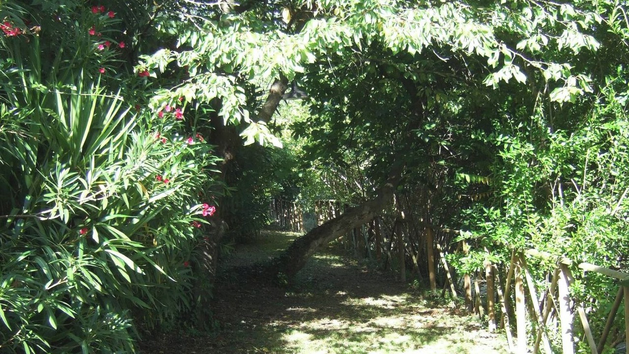 Photo of Outdoor in Monte San Vito
