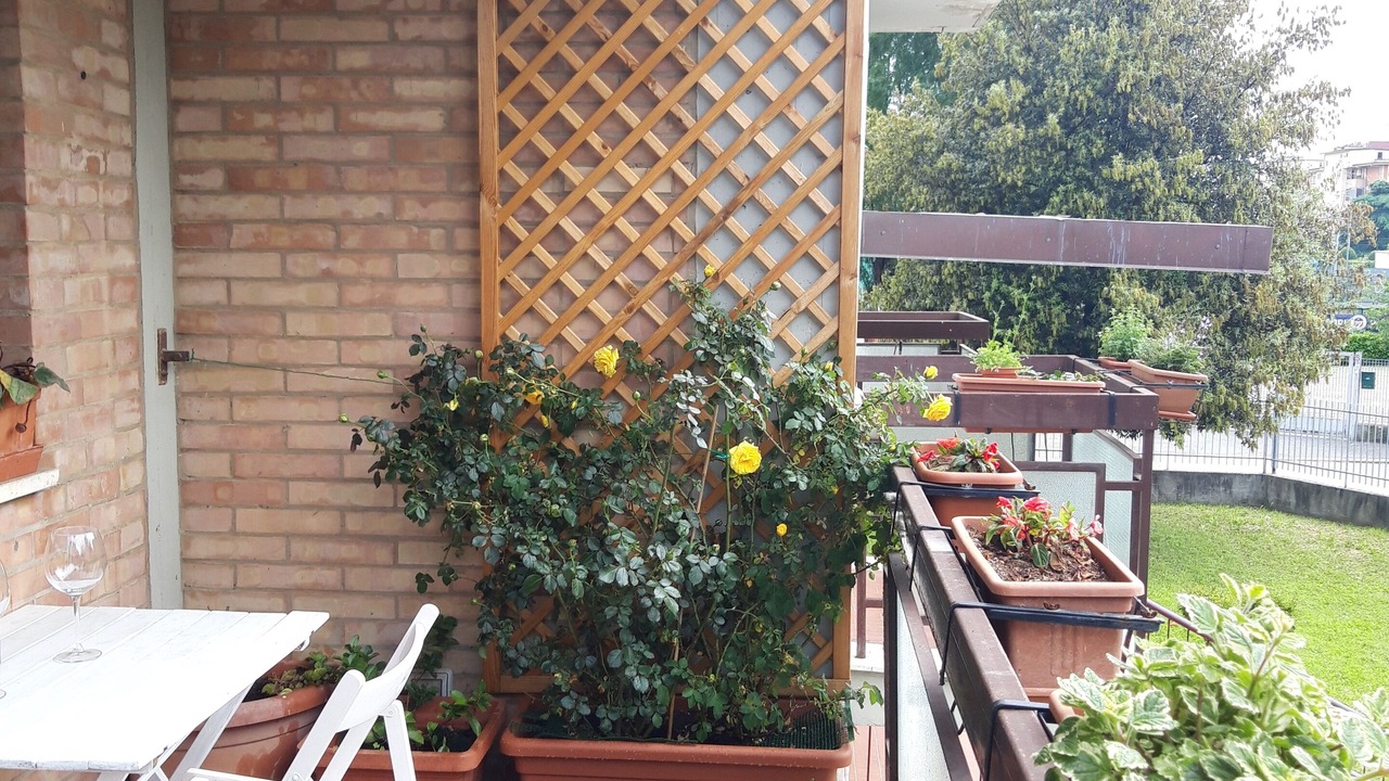 Photo of Outdoor in Isolotto