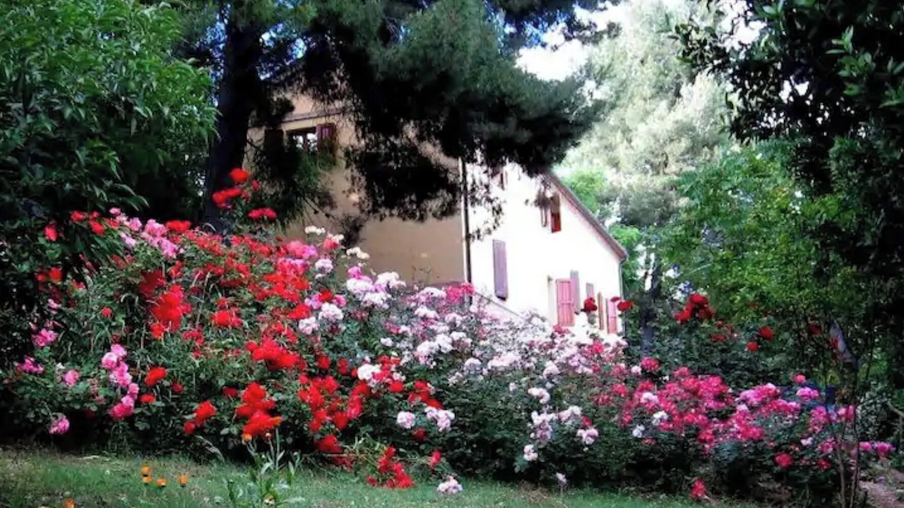 Photo of Outdoor in Monte San Vito