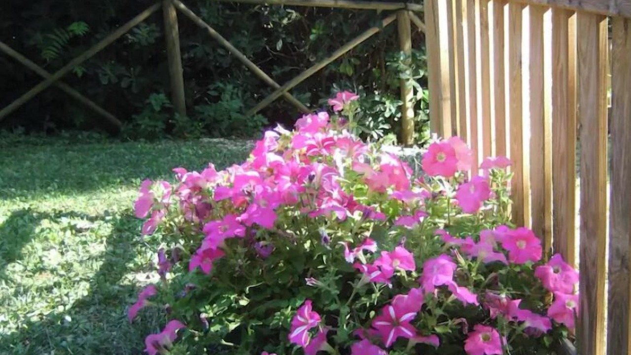 Photo of Outdoor in Monte San Vito