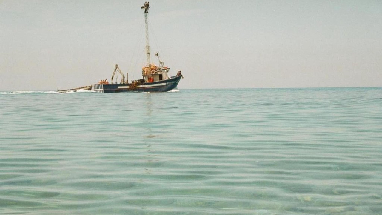 Photo of Others in Misilmeri