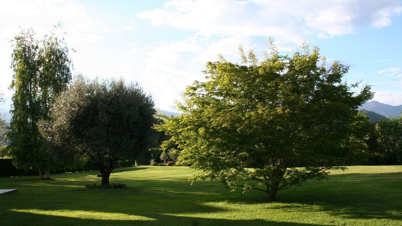 Photo of Outdoor in Castellamonte