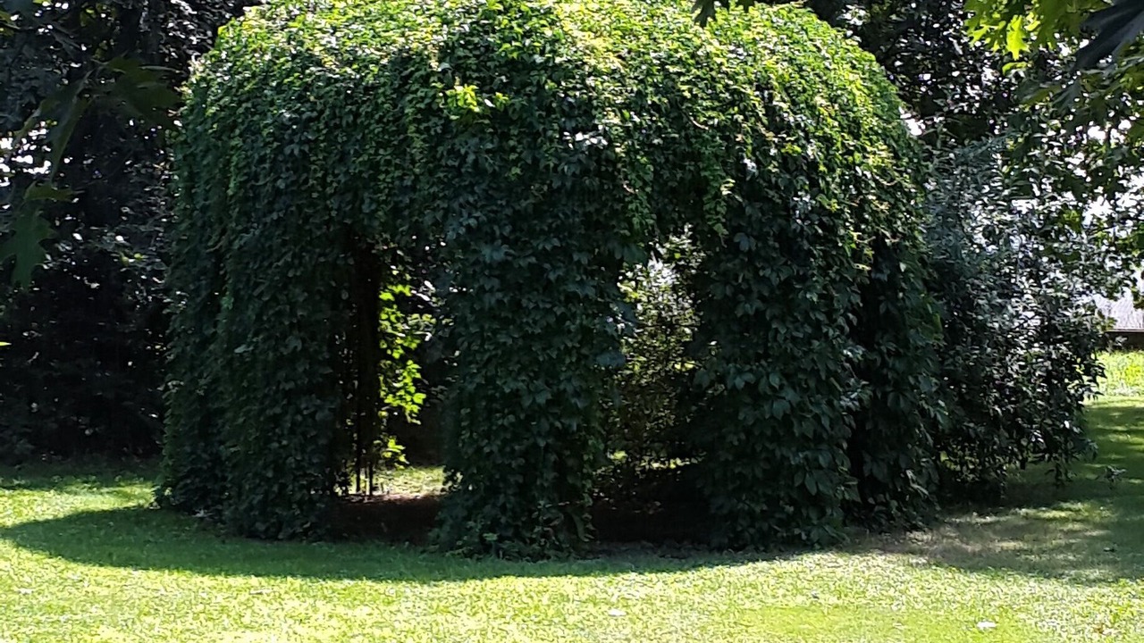 Photo of Others in Pontoglio