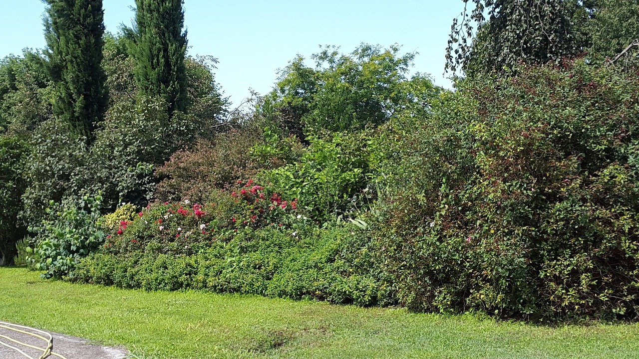 Photo of Outdoor in Pontoglio