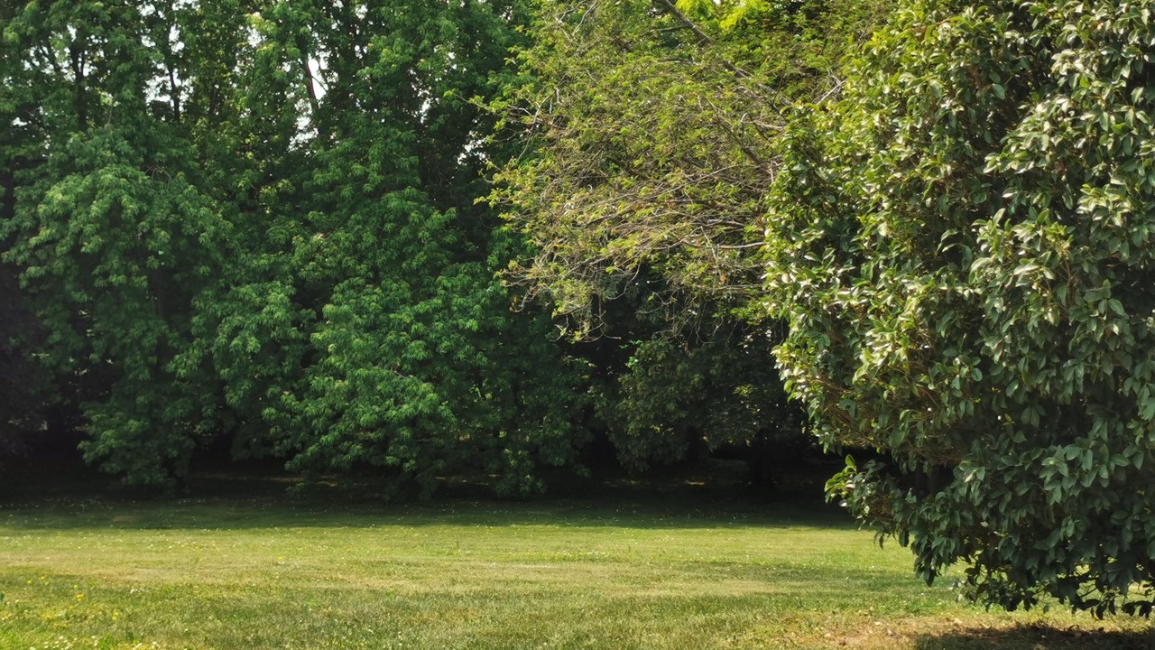 Photo of Outdoor in Pontoglio