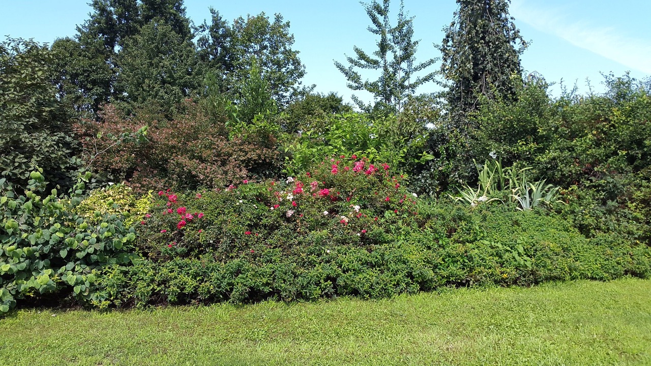 Photo of Outdoor in Pontoglio