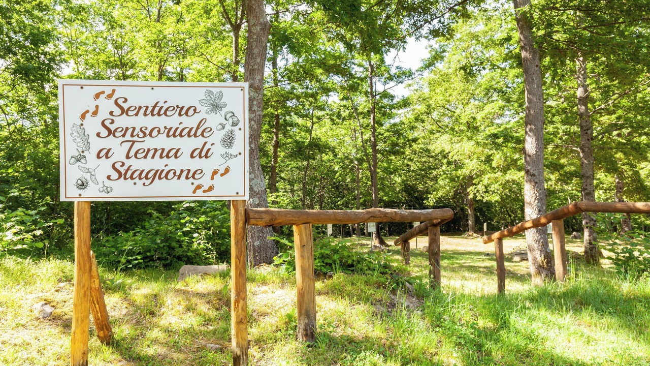 Photo of Outdoor in Sillano Giuncugnano