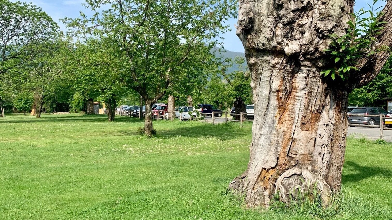 Photo of Outdoor in Villafranca in Lunigiana
