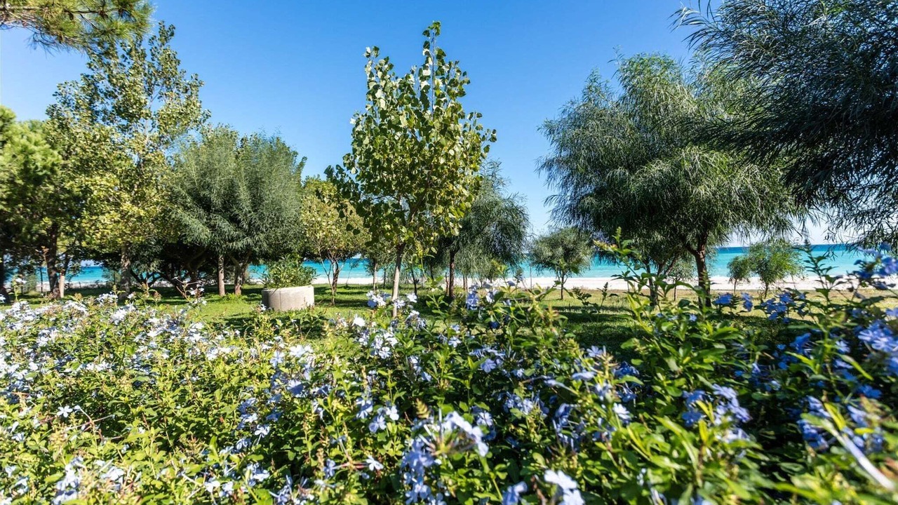 Photo of Outdoor in Santa Caterina Dello Ionio Marina