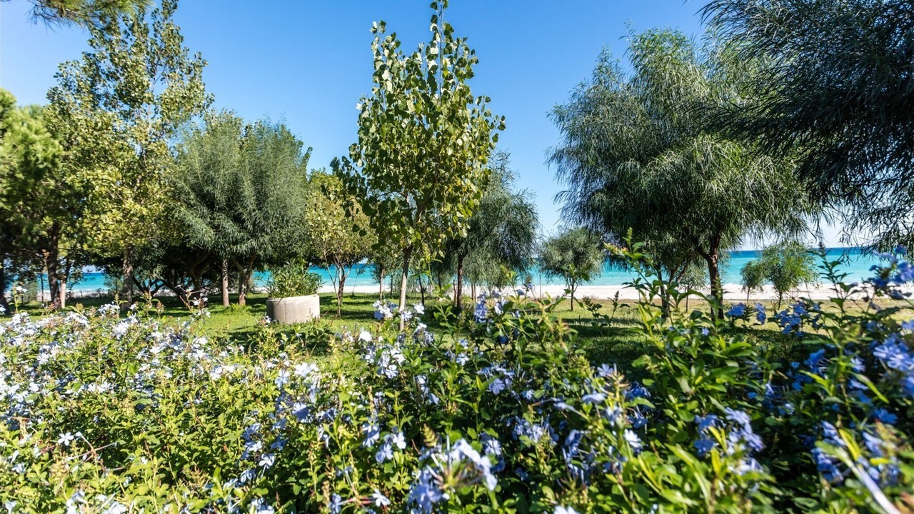 Photo of Outdoor in Santa Caterina Dello Ionio Marina