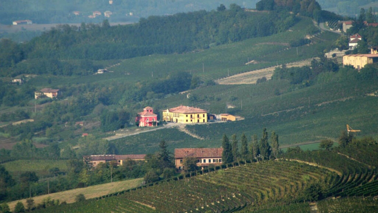 Photo of Others in Nizza Monferrato