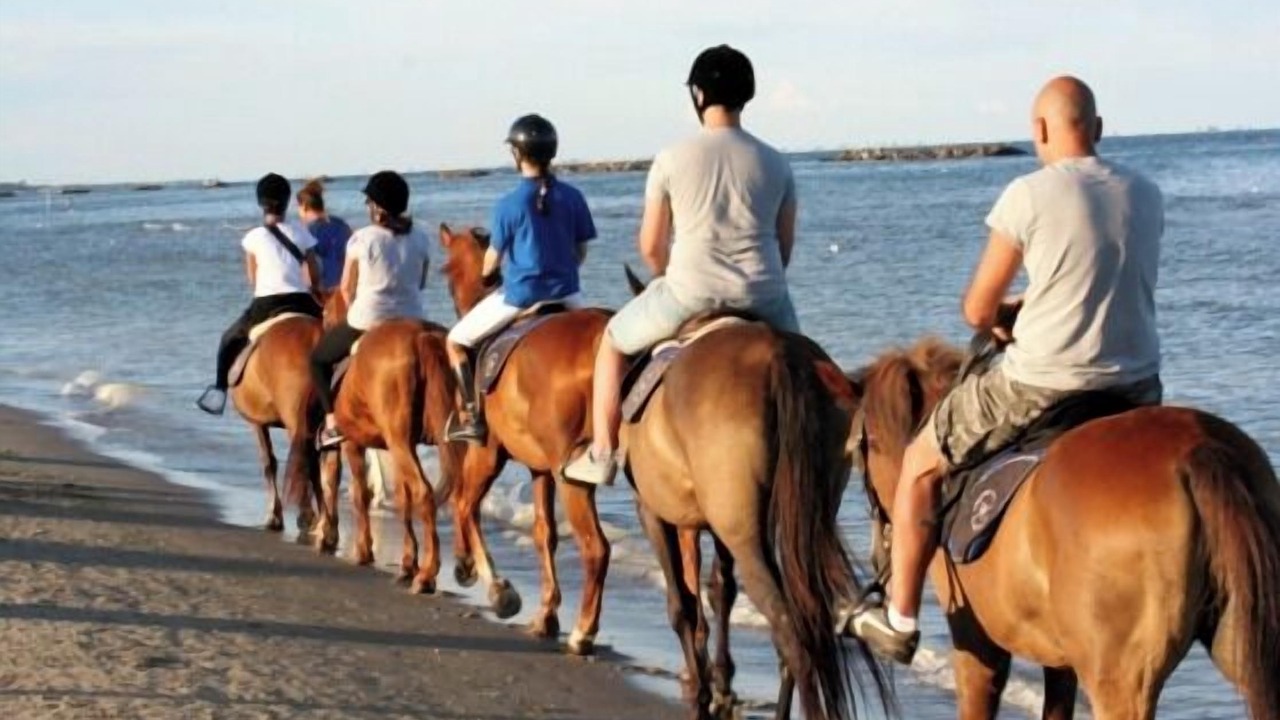 Photo of Others in Lido degli Estensi