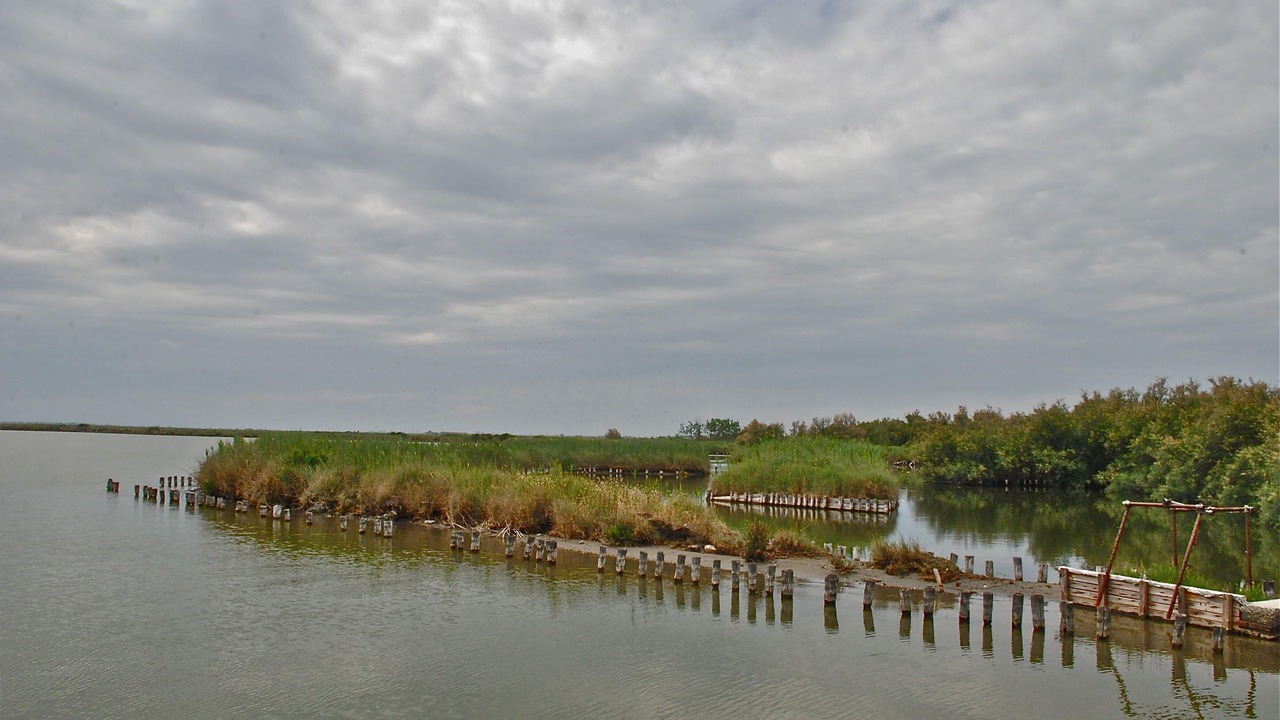 Photo of Outdoor in Lido degli Estensi