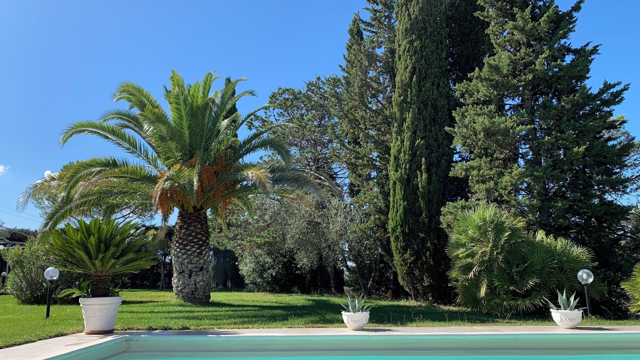 Photo of Outdoor in Gavorrano