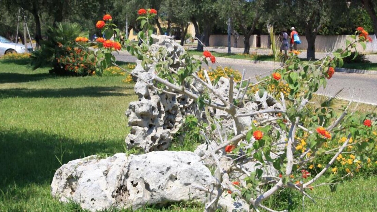 Photo of Outdoor in San Foca