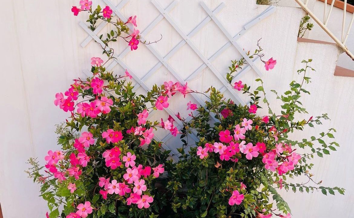 Photo of Outdoor in Salerno