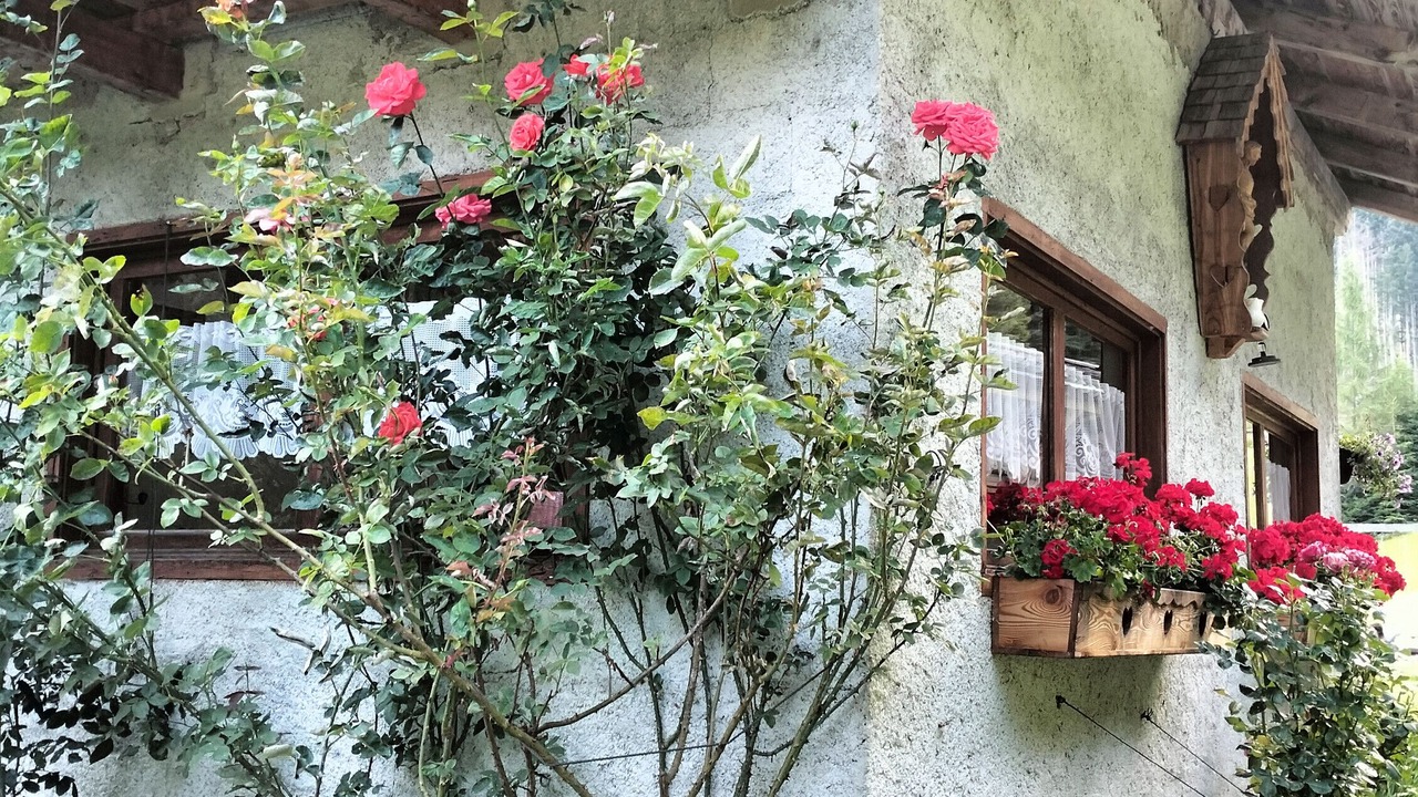 Photo of Outdoor in Canal San Bovo