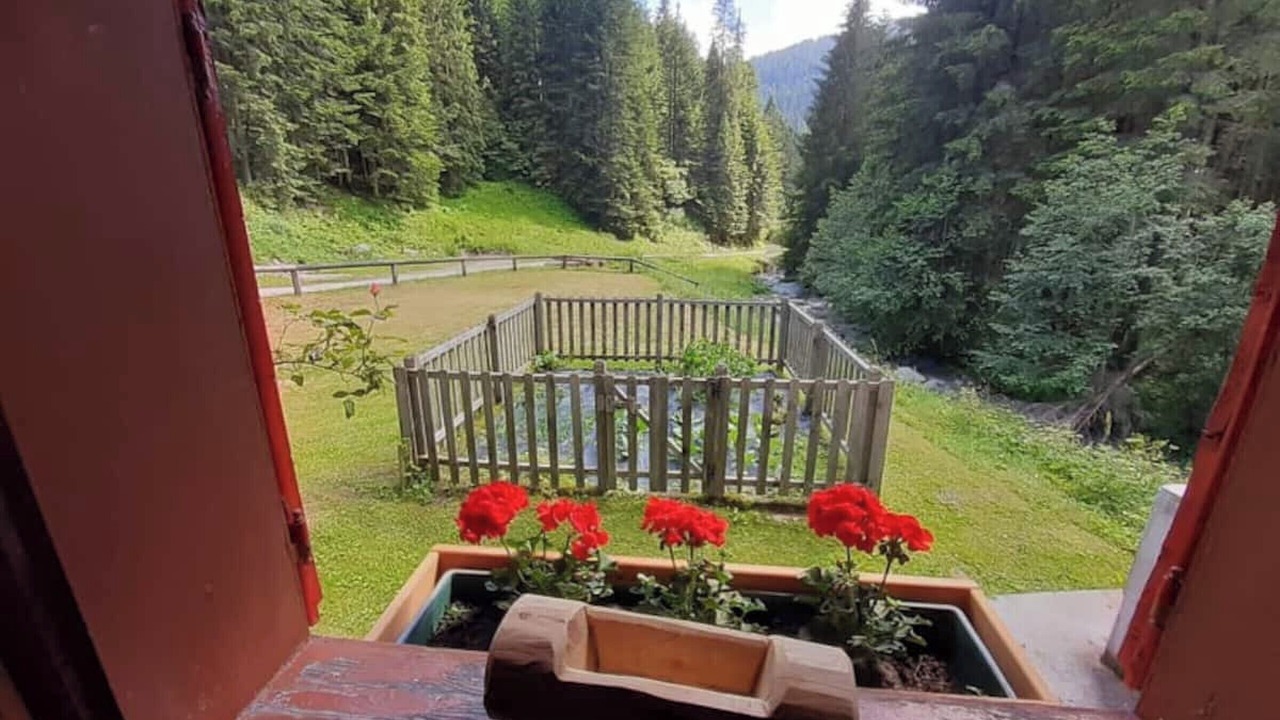 Photo of Outdoor in Canal San Bovo