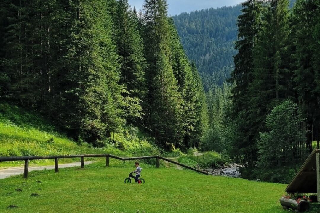 Photo of Others in Canal San Bovo