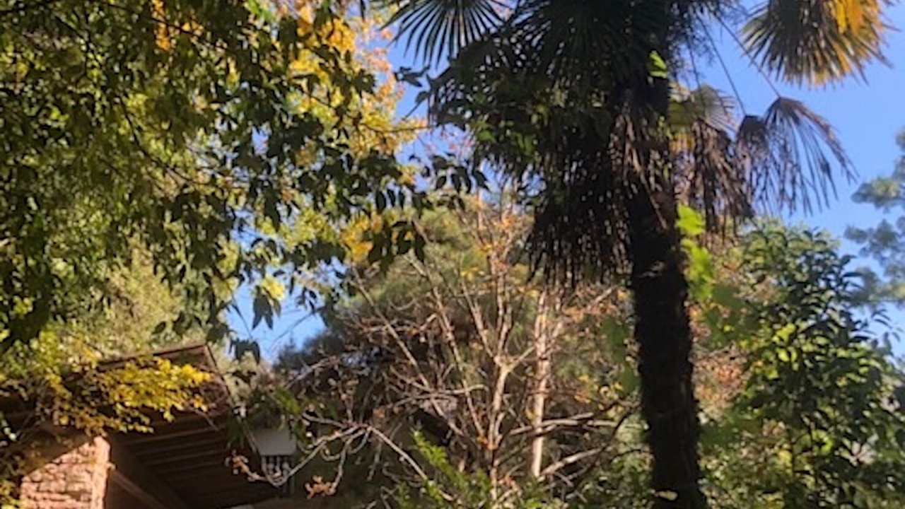 Photo of Outdoor in Gries - Quirein