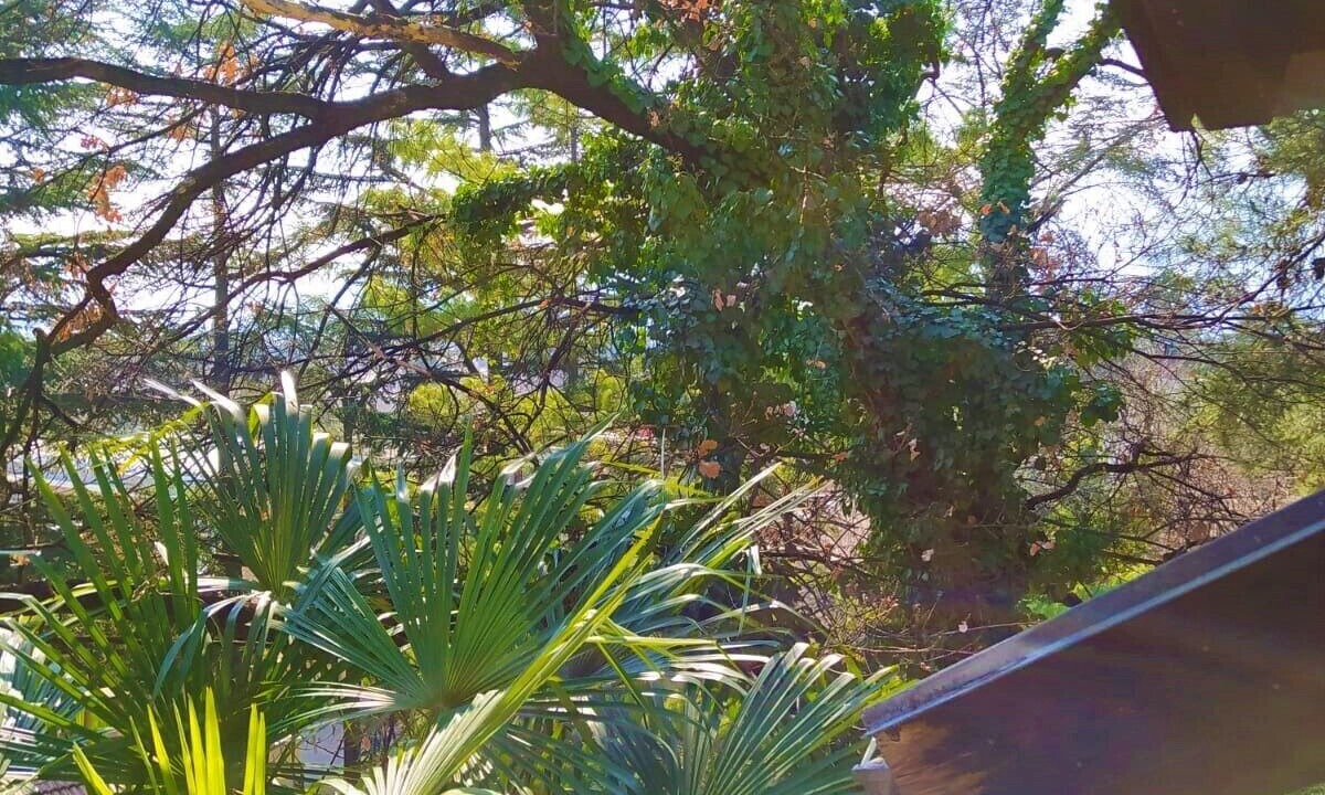 Photo of Outdoor in Gries - Quirein