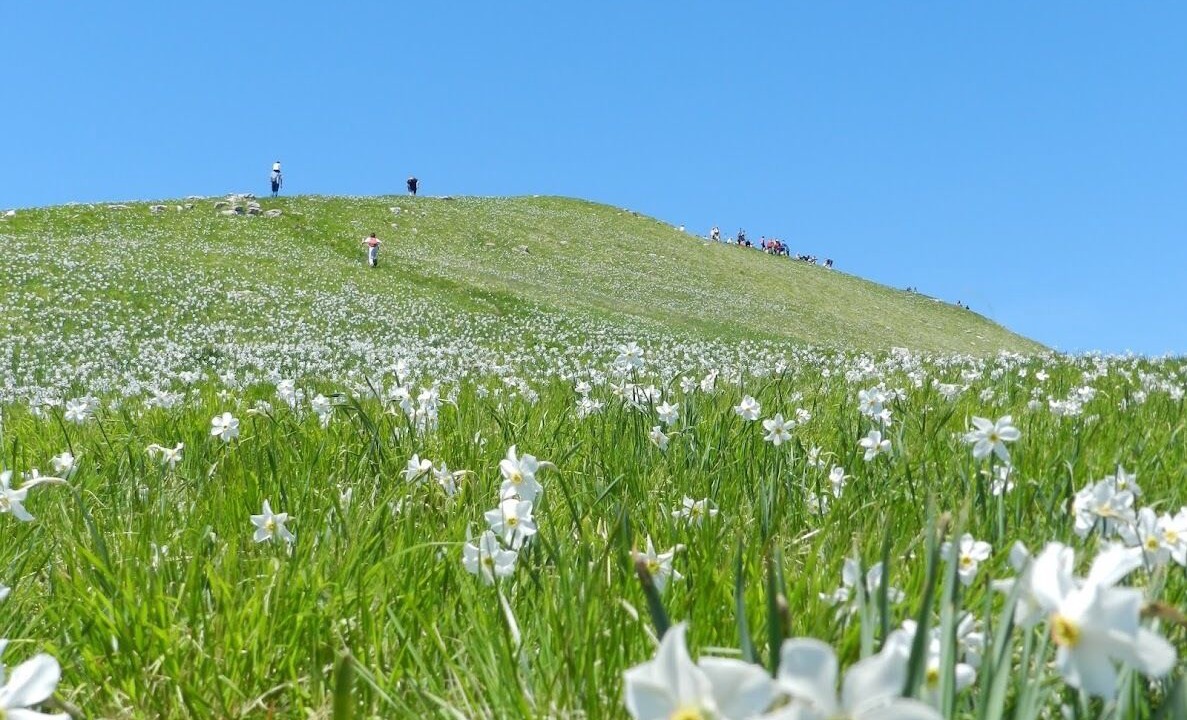 Photo of Outdoor in Vergemoli