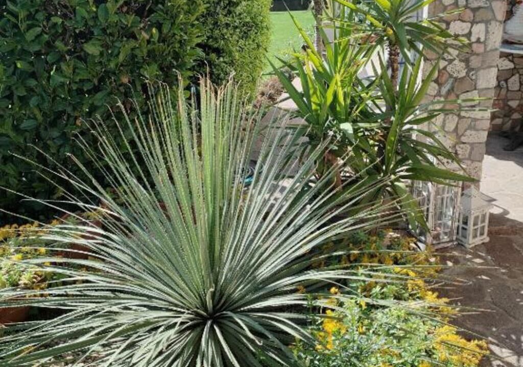 Photo of Outdoor in Lonigo
