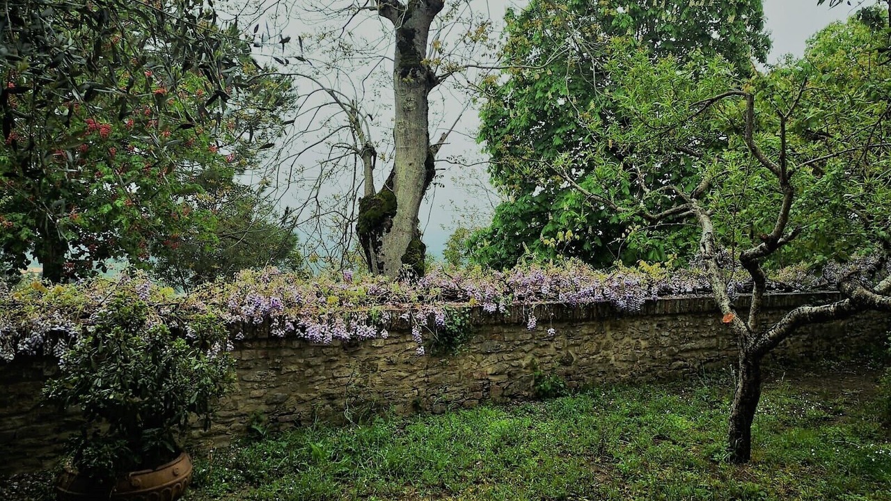 Photo of Outdoor in Panicale