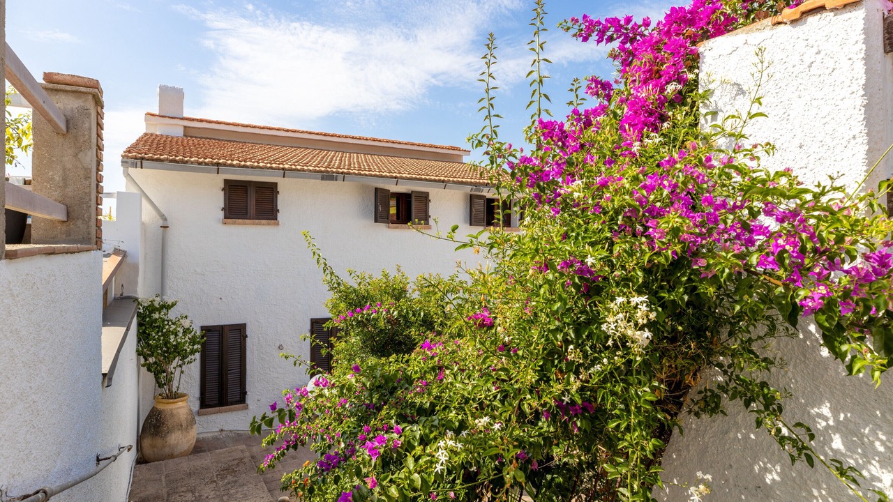 Photo of Outdoor in Porto Alabe