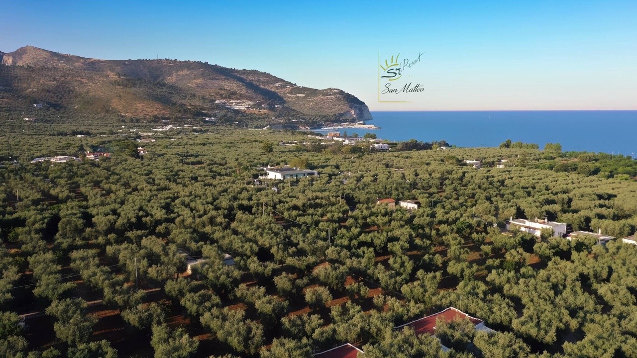 Photo of Outdoor in Mattinata