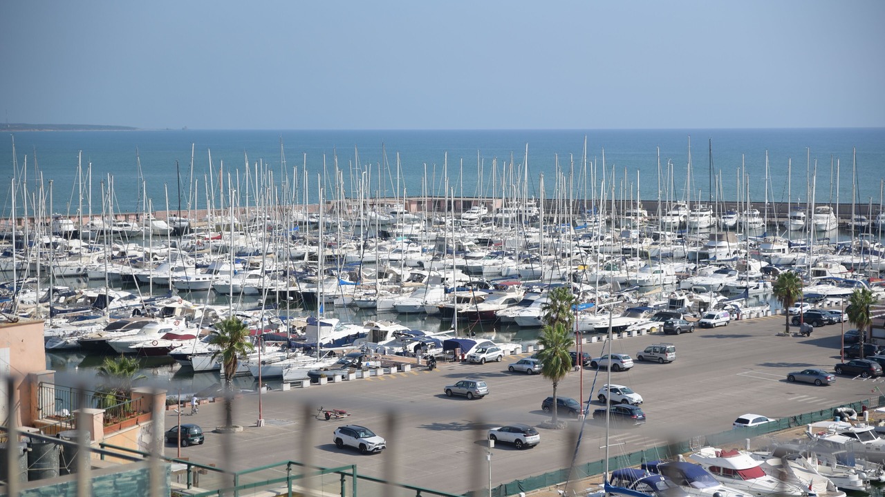 Photo of Others in Nettuno
