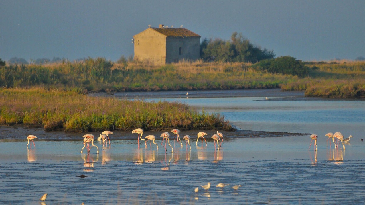 Photo of Others in Lido di Volano