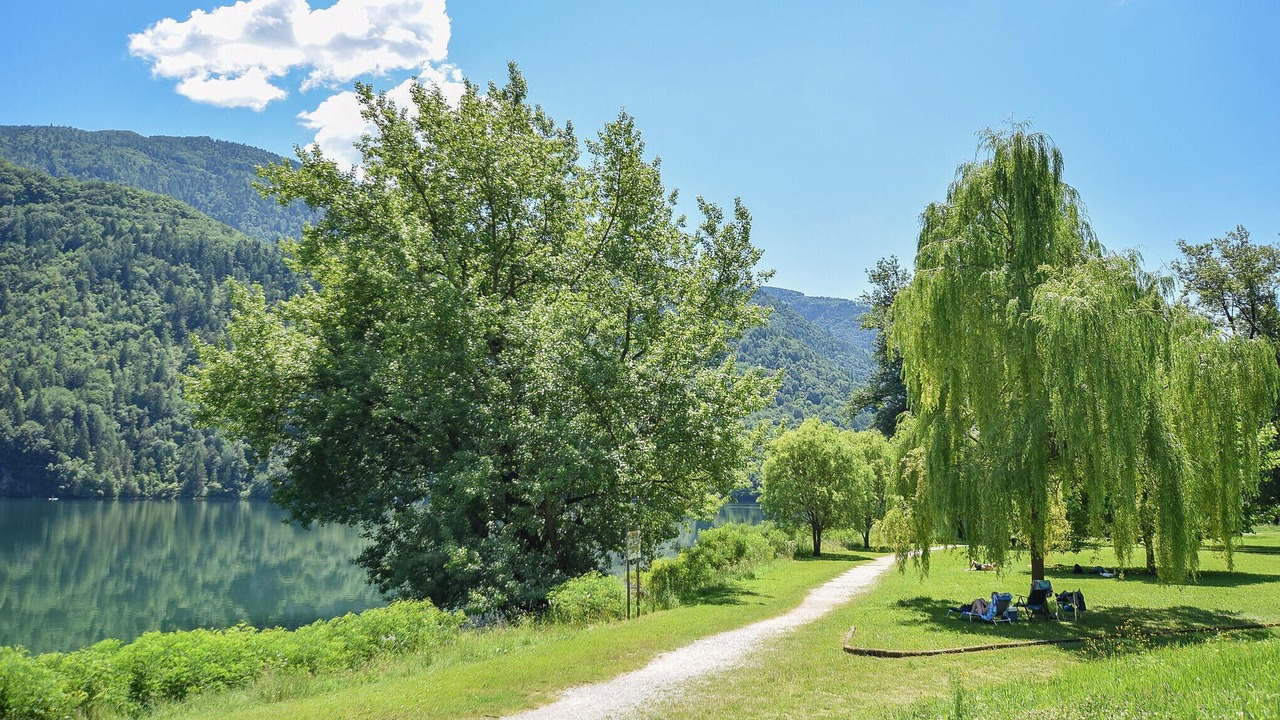Photo of Others in Feltre