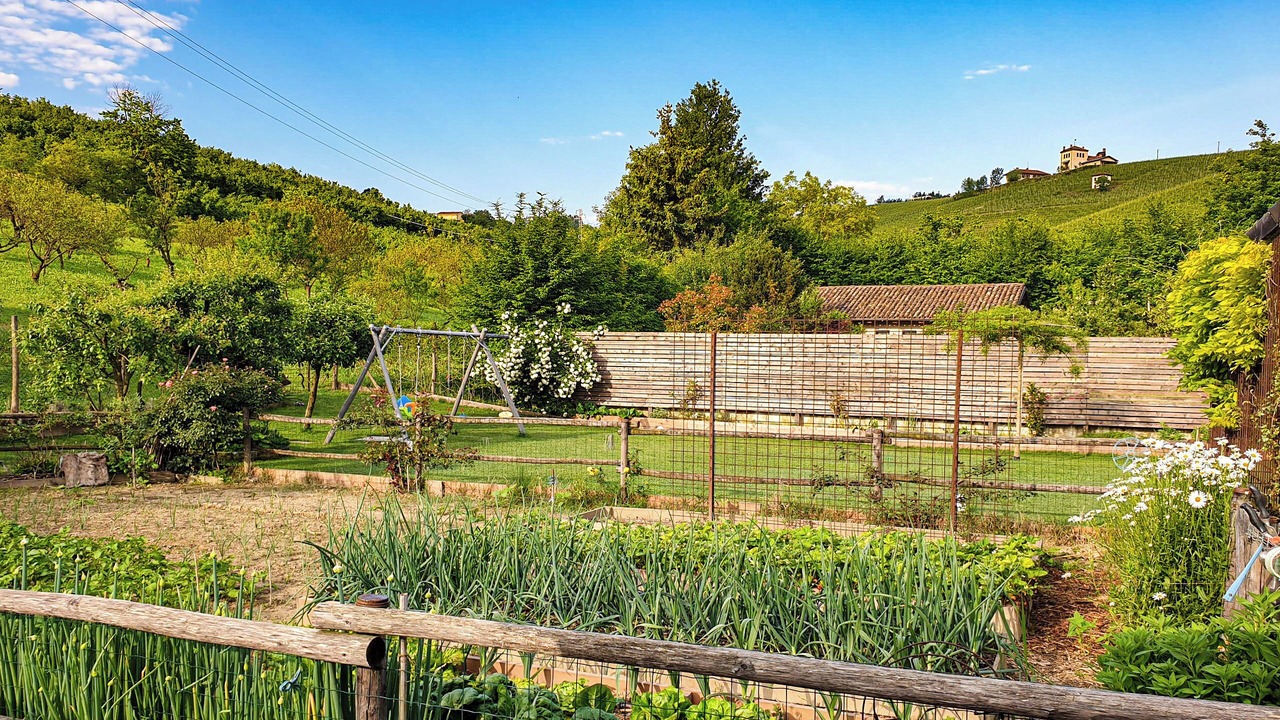 Photo of Outdoor in Alba