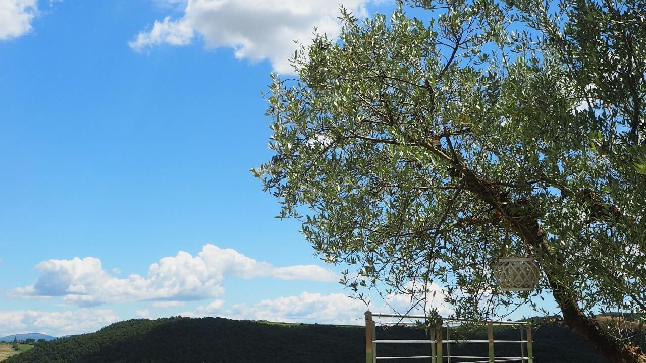 Photo of Outdoor in San Venanzo