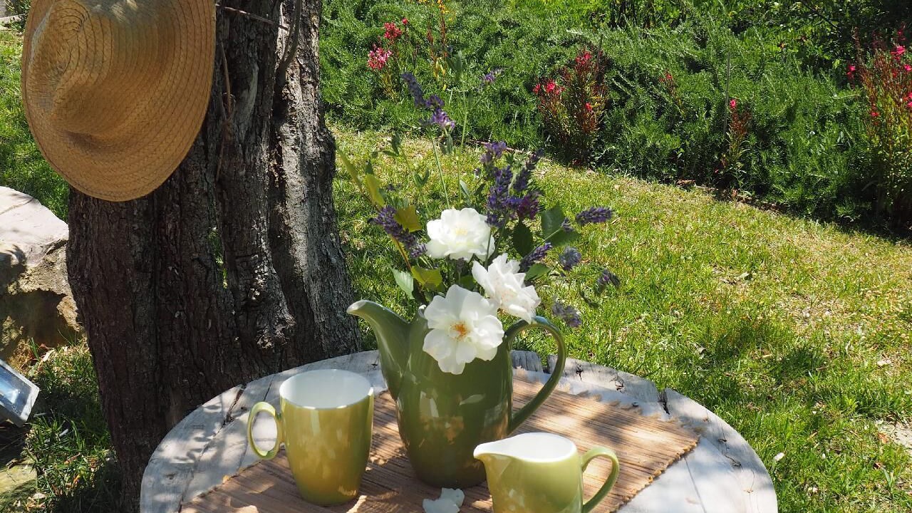 Photo of Outdoor in San Venanzo